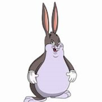 WNBA slammin's Avatar'