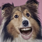Goat_Screams's Avatar'