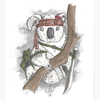 BattleKoala11's Avatar'