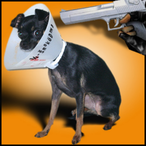 SmokeMission's Avatar