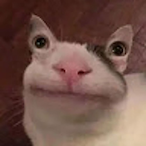 eLeVeNZeR0TW0's Avatar'