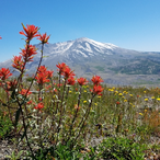 BrokenFire319's Avatar