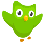 DuolingoOwl's Avatar'