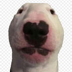 NoobyMaster69's Avatar'