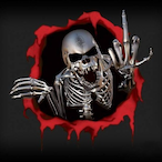 visoust1's Avatar'