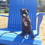 Larsimann76's Avatar