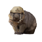 krazywombat199's Avatar'