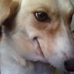 BLaCK_AcE...'s Avatar'