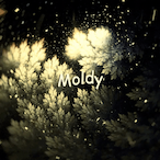 Moldyy_'s Avatar'