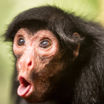 MiguelCM_10's Avatar'