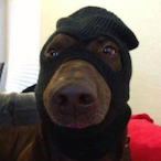 MURK-DON's Avatar'