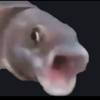TarttarTPrime's Avatar'