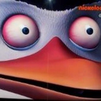 TurtlezLikePie's Avatar'