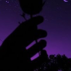 LostAlone_C7H's Avatar'