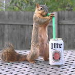 George_DroidBot's Avatar'