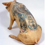 Manuel_Beero's Avatar