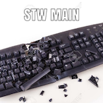 JustBudgie's Avatar'