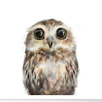 LittleOwl.'s Avatar'