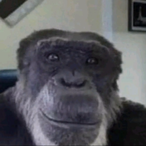 KC_Monkey7's Avatar'