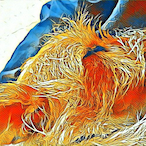 WaitinginMiami's Avatar'