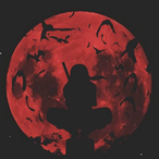 moshe5692322's Avatar'