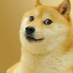 Doge_HMB's Avatar'