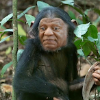 PrivateJamal's Avatar'