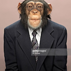 StepBroJonas's Avatar'