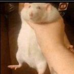 Busturned's Avatar'