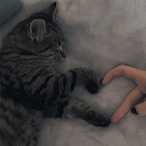 sugarluv's Avatar'