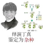 Mr-DingZhen's Avatar'