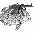 Outlaw-Fish.'s Avatar'