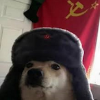 Rusrobin's Avatar'