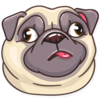 NET-Pug's Avatar'