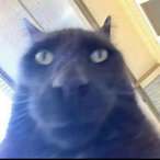 aqmola's Avatar'