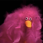 egglayinghips's Avatar'