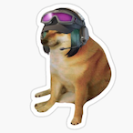 MitisBlu's Avatar'