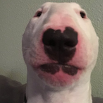 Fighting-103's Avatar'