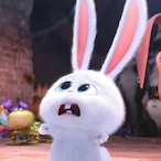 MillerMo.OBS's Avatar'