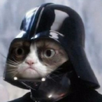 dinissilvalouren's Avatar'