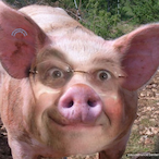La.Raie.de.Jose's Avatar'