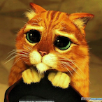 Doki_Sneffs's Avatar'