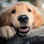 ItsGemiBoyyyy's Avatar'