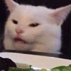 Kurruma_Raijuxx's Avatar'