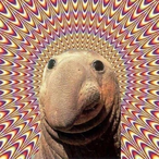 Z8ir's Avatar'