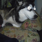 RichardCC79's Avatar