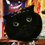 luelueluedian's Avatar'