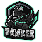 Hawkee.-'s Avatar'