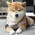 DouGAO's Avatar'