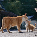 Hot_Ch0colate.'s Avatar'